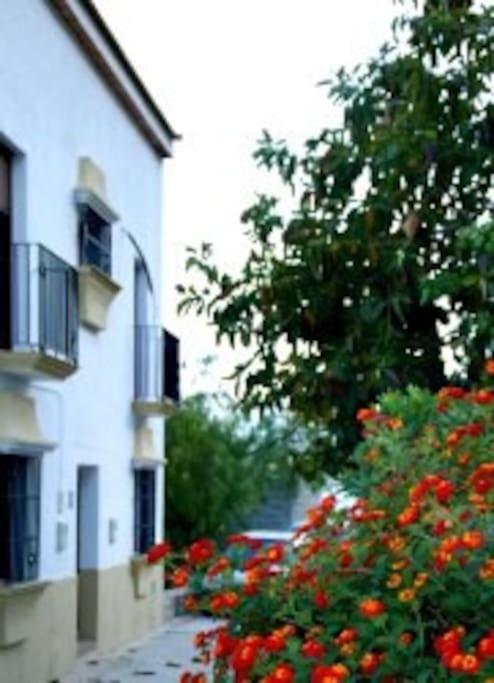Villa Eagles Nest - Massive Townhouse With Pool With Outstanding Views Algodonales Exterior foto